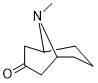 Pseudopelletierine free base 552-70-5